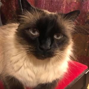 Meet your Posher, Jordan